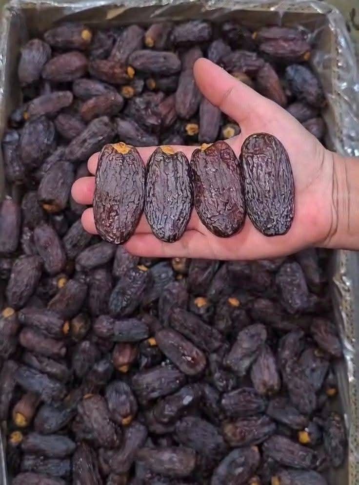تصویر 5 از خرید فروش انواع خرما مجول بهترین کیفیت داخلی صادراتی