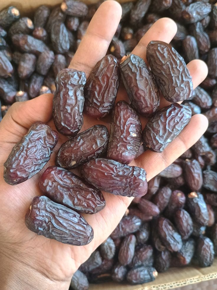 تصویر 2 از خرید فروش انواع خرما مجول بهترین کیفیت داخلی صادراتی