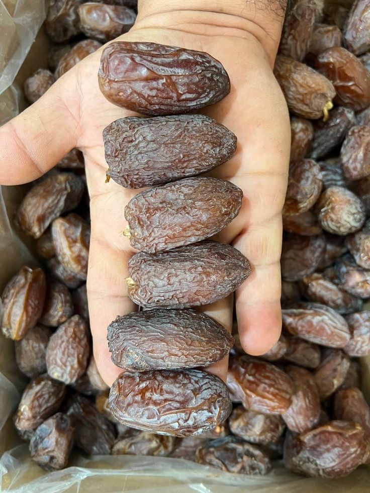 تصویر 3 از خرید فروش انواع خرما مجول بهترین کیفیت داخلی صادراتی