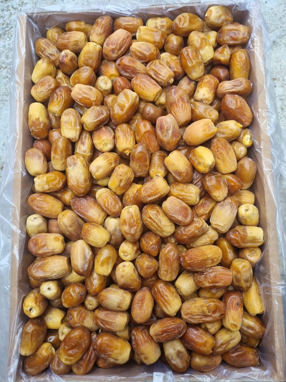 تصویر 1 از خرید فروش انواع خرما زاهدی مخصوص بازار افغانستان پاکستان