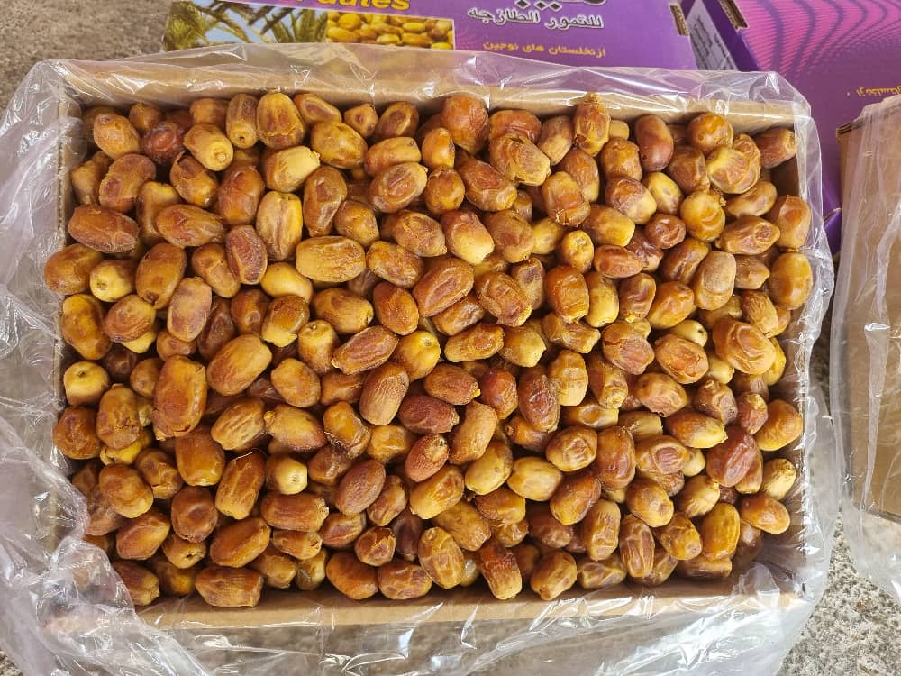 تصویر 2 از خرید فروش انواع خرما زاهدی مخصوص بازار افغانستان پاکستان