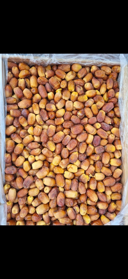 تصویر 3 از خرید فروش انواع خرما زاهدی مخصوص بازار افغانستان پاکستان