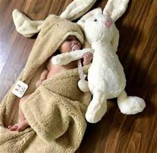 تصویر 1 از پتو خرگوشی انتخابی مطمئن ایده آل در کیفیت