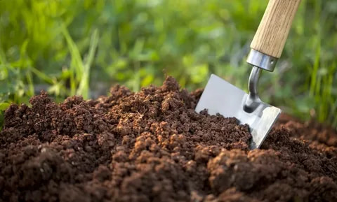 تصویر 1 از کود گرانوله مرغی ارگانیک با اثر بهبود ساختار خاک و افزایش شادابی