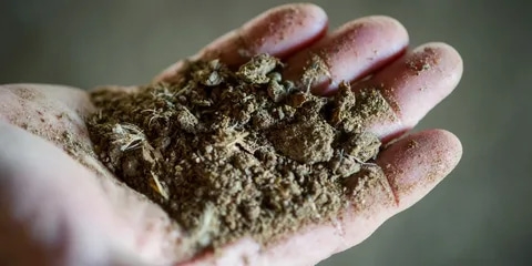 تصویر 3 از کود گرانوله مرغی ارگانیک با اثر بهبود ساختار خاک و افزایش شادابی