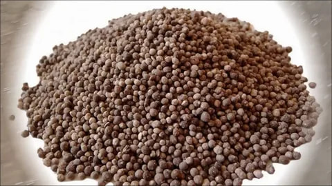 تصویر 4 از کود گرانوله مرغی ارگانیک با اثر بهبود ساختار خاک و افزایش شادابی