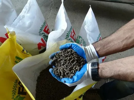 کود مرغی برای صیفی‌ جات با قابلیت افزایش رشد ریشه‌ ها