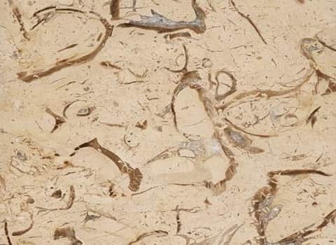 تصویر 2 از سنگ مرمریت پر طاووسی ارسنجان نمای شیک و لوکس