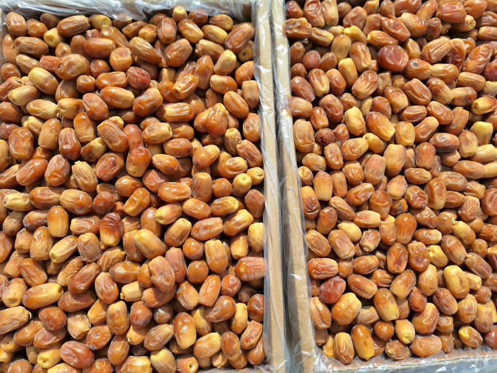 تصویر 5 از خرما زاهدی درجه یک داخلی صادراتی به کشور های اروپا