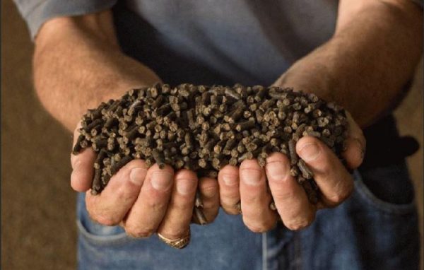 تصویر 3 از کود مرغی برای زعفران مناسب برای تقویت خاک و افزایش کیفیت گل‌ ها