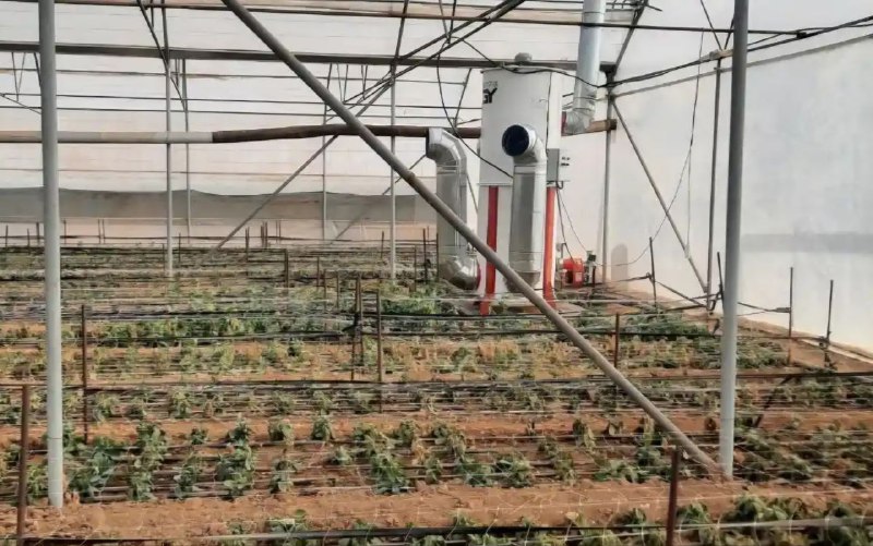 تصویر 3 از خرید اینترنتی بخاری اختصاصی گلخانه به قیمت کارخانه + شرایط ویژه