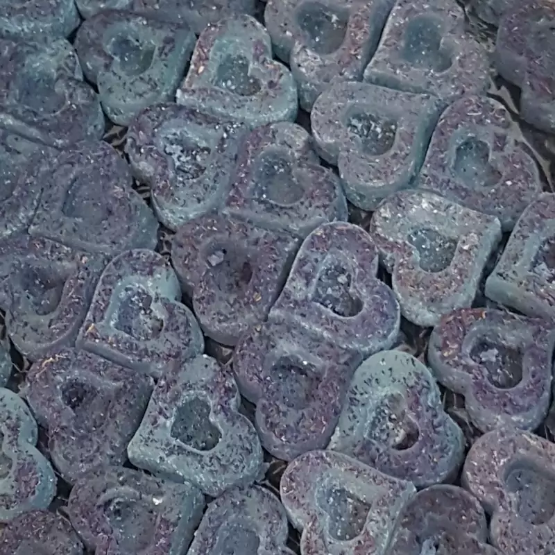 تصویر 4 از نبات قلبی گل گاو زبان قیمت مناسب