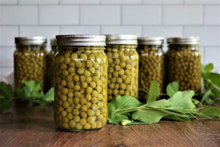 تصویر 4 از کنسرو نخود فرنگی در بسته‌ بندی مقاوم و بهداشتی