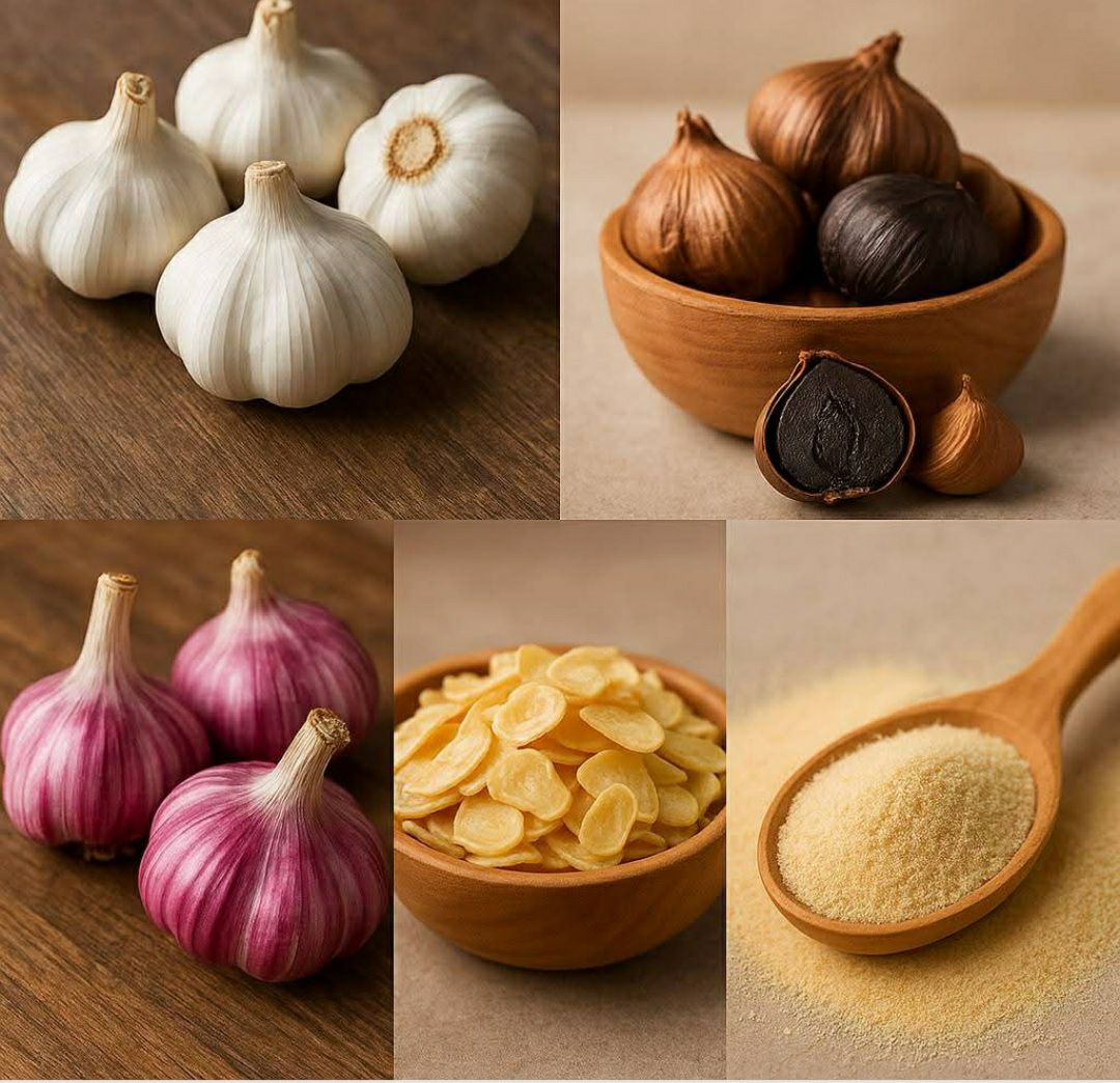 قیمت سیر سفید