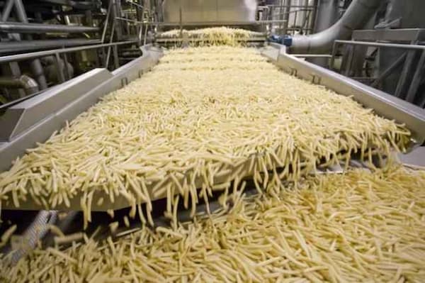 تصویر 4 از لیست قیمت خرید فرنچ فرایز رستورانی فروش عمده + سفارش آنلاین