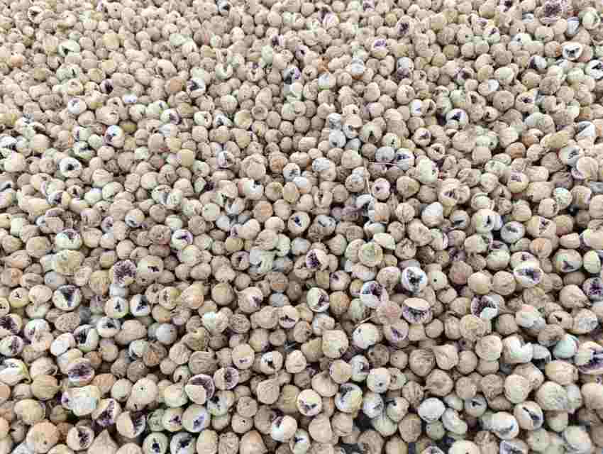 تصویر 3 از خرید و فروش عمده انجیر خشک درجه یک استهبان | قیمت بار یک‌ دست