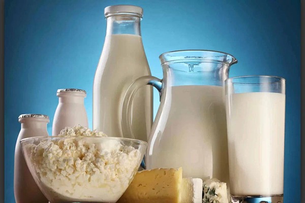 شیرخشک برای ماست برای کارخانجات تولید محصولات لبنی