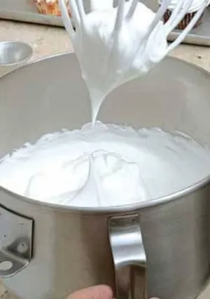 مایع سفیده تخم مرغ برای پروتئین بار