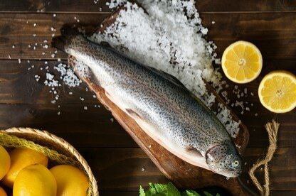 تصویر 1 از ماهی جنوب + قیمت خرید عمده وصادراتی