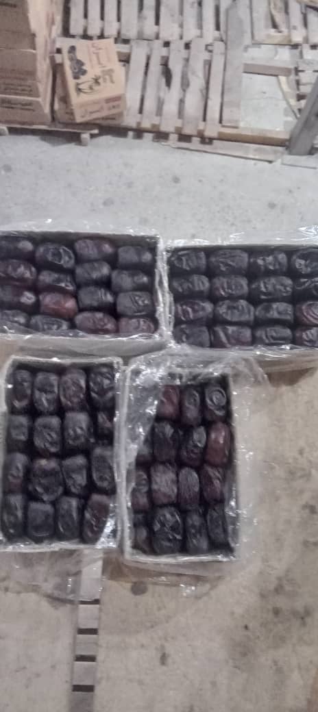 تصویر 2 از قیمت روز خرما مضافتی