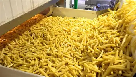 تصویر 2 از سیب زمینی سرخ کرده رستورانی فروش عمده + مخصوص قیمه نذری