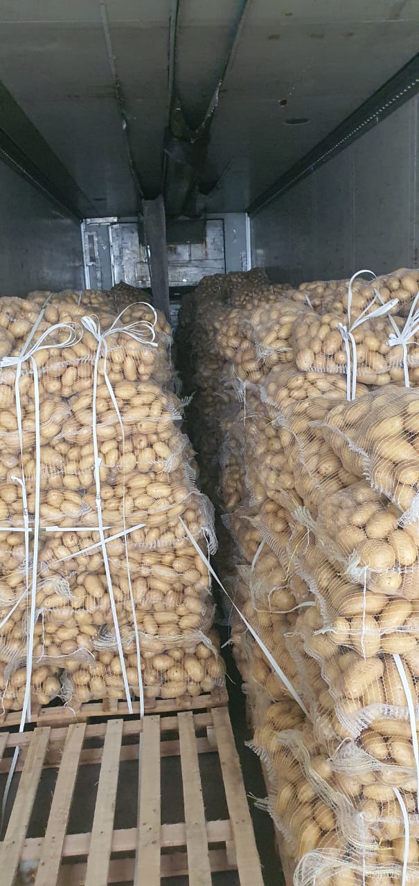 تصویر 1 از قیمت فروش سیب زمینی امروز در شیراز فروش عمده + مخصوص صادرات به امارات