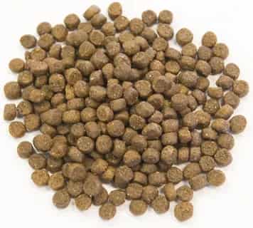 تصویر 1 از غذای ماهی ترکیه خوراک تغذیه‌ای کامل