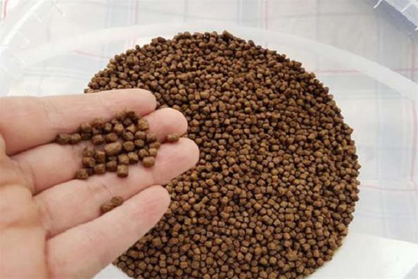 تصویر 4 از غذای ماهی لجور خوراک پروتئینی تقویتی