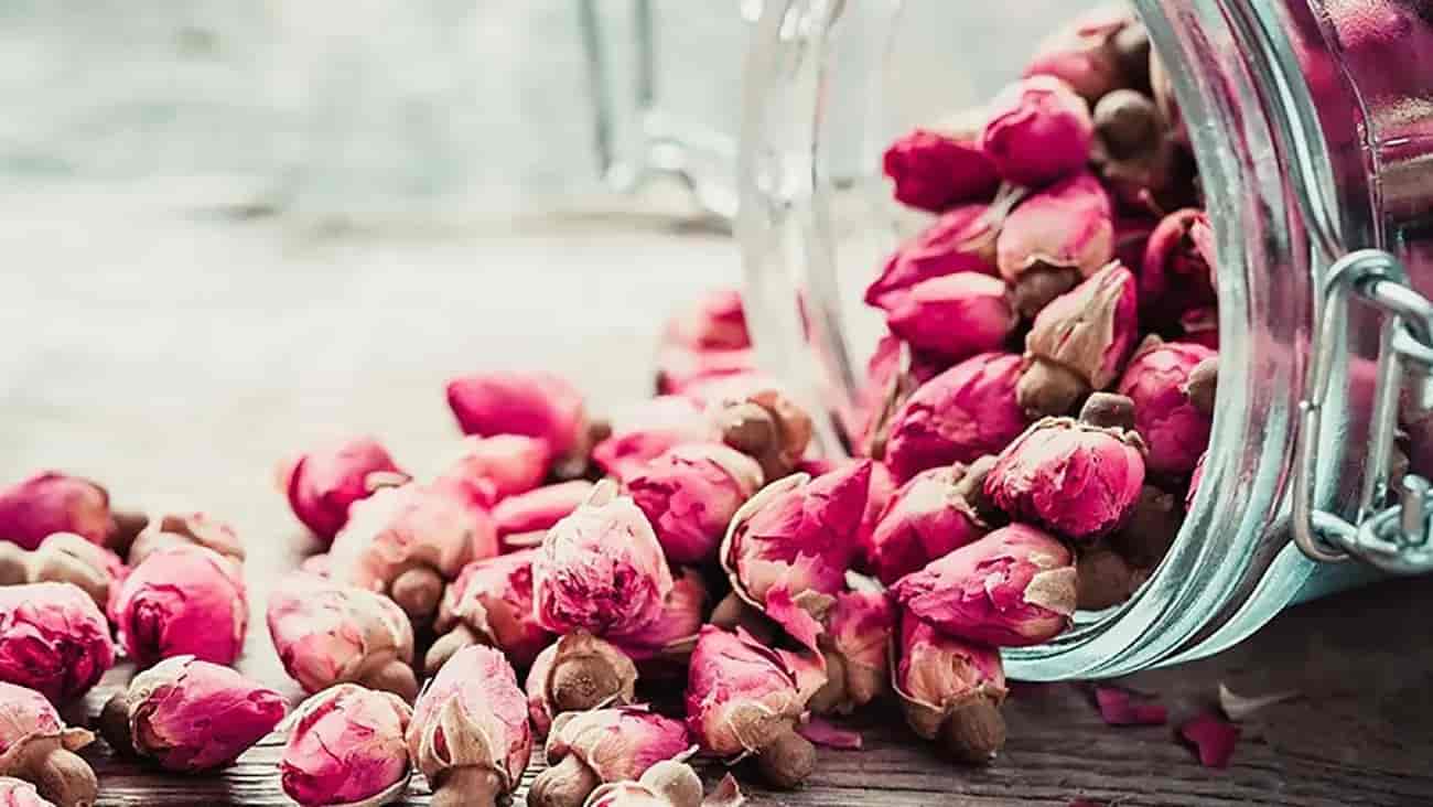 تصویر 4 از فروش عمده غنچه گل محمدی خشک داراب شیراز