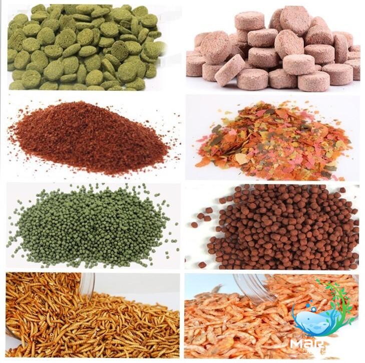 تصویر 4 از غذای ماهی زبرا دانیو جیره ریزدانه مغذی