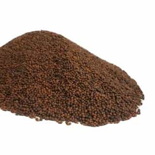 تصویر 2 از غذای ماهی شیربت جیره پروتئین‌ساز