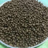 تصویر 1 از غذای ماهی قزل خوراک تقویتی طبیعی