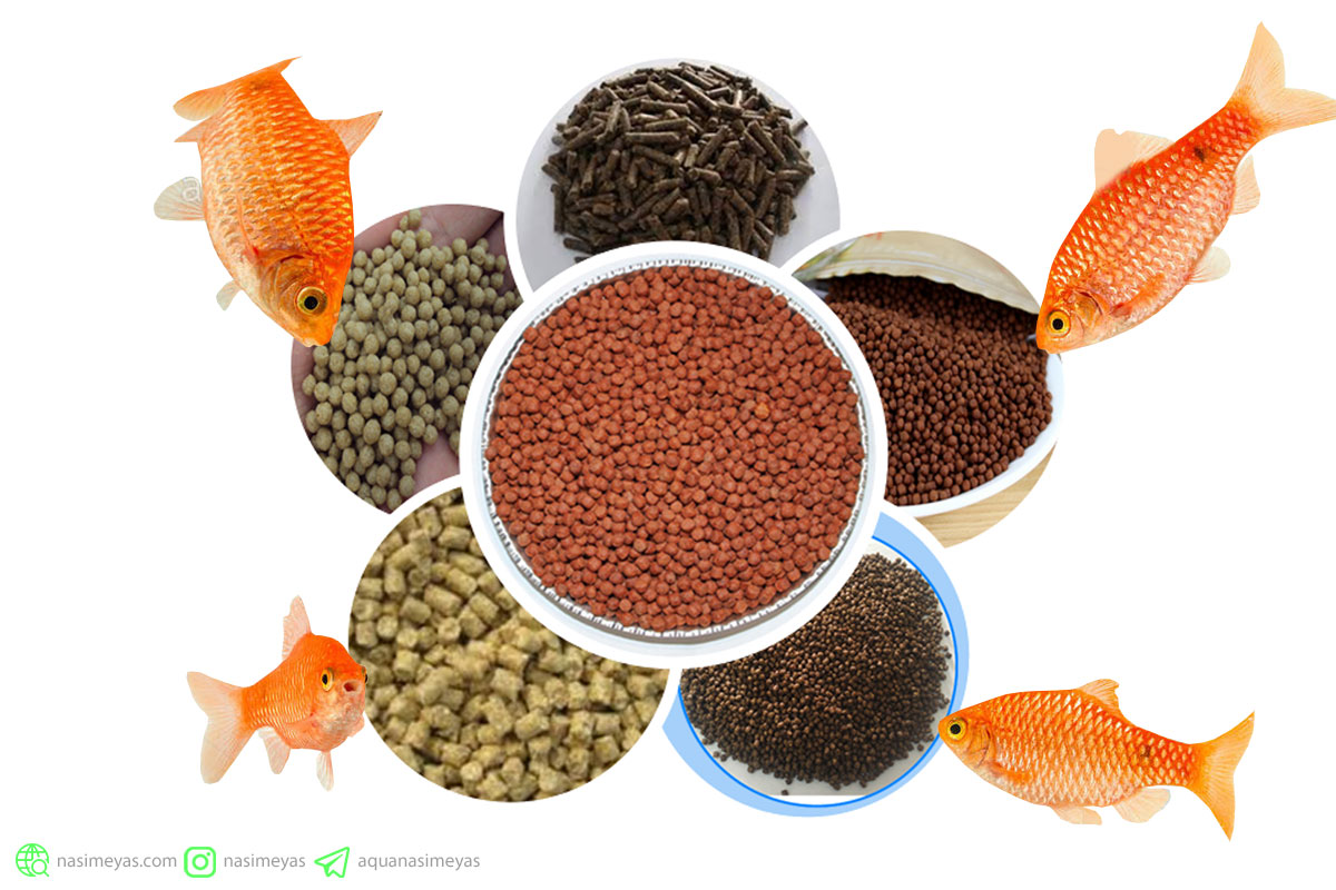 تصویر 2 از غذای ماهی ریز رنگی ترکیب ته‌نشین‌کن کوچک