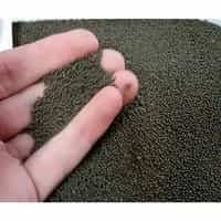 تصویر 3 از غذای ماهی زبرا دانیو ترکیب رشددهنده ظریف