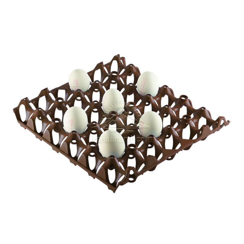 تصویر 1 از شانه تخم مرغ صادراتی محافظت کامل محصول