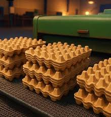 تصویر 2 از شانه تخم مرغ صادراتی محافظت کامل محصول