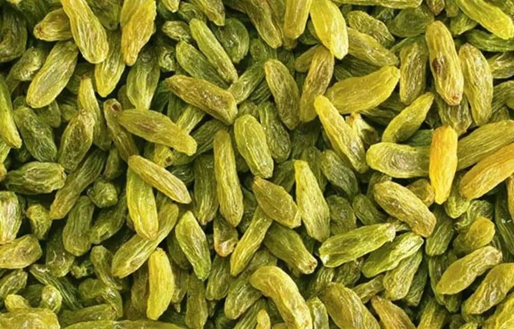 تصویر 3 از کشمش سبز تازه کاشمری کم کالری مناسب برنامه‌ های کاهش وزن پایدار