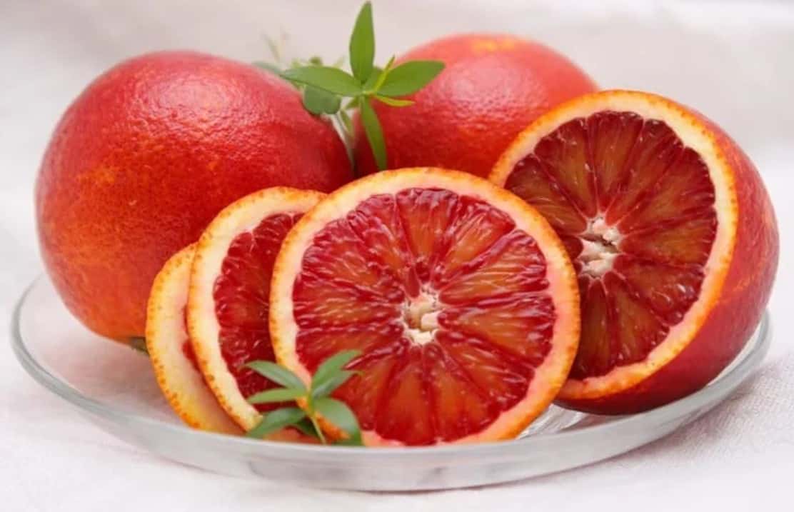 پرتقال خونی شیرین تازه با طعم دلنشین و طبیعی