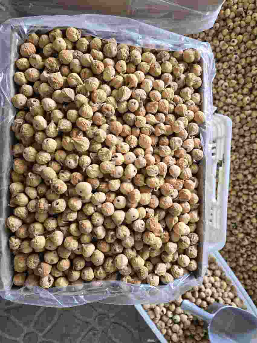 تصویر 2 از فروش عمده انجیر خشک استهبان تامین مستقیم برای صادرات