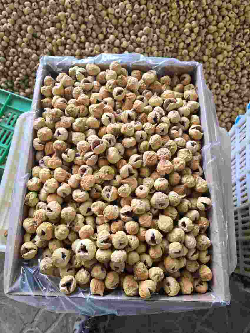 تصویر 5 از فروش عمده انجیر خشک استهبان تامین مستقیم برای صادرات