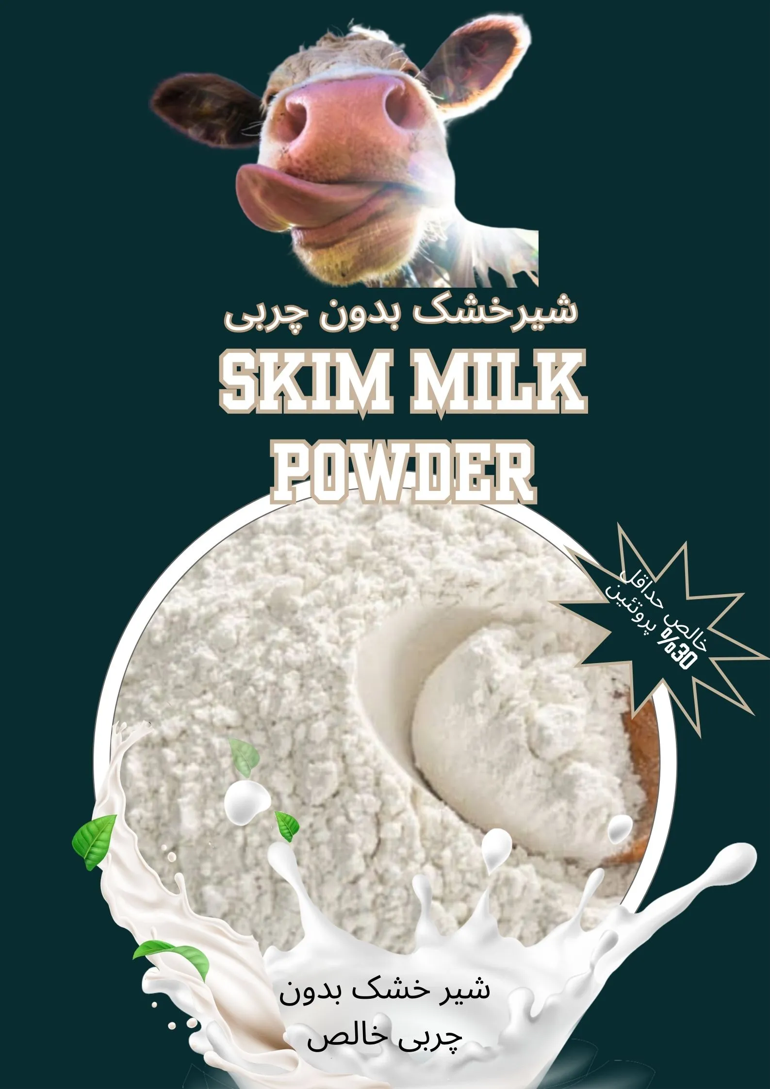 شیر خشک صنعتی بدون چرب خالص 30% پروتئین