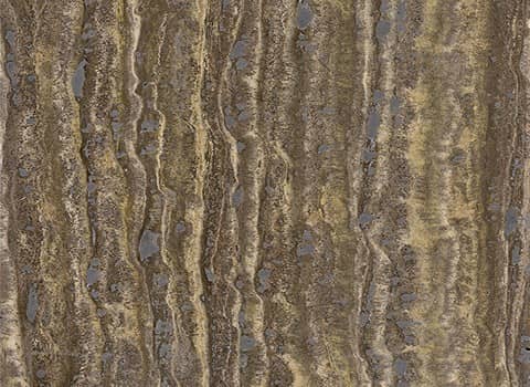 تصویر 1 از سنگ گرانیت پوست ماری با طرح‌های طبیعی و بافت منحصر به‌ فرد