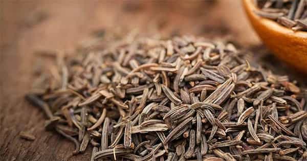 تصویر 4 از خرید زیره سیاه مرغوب با تخفیف ویژه + برای خریداران عمده