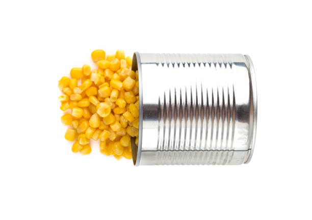 کنسرو ذرت گلکسی مناسب میان‌ وعده سالم و مغذی روزانه