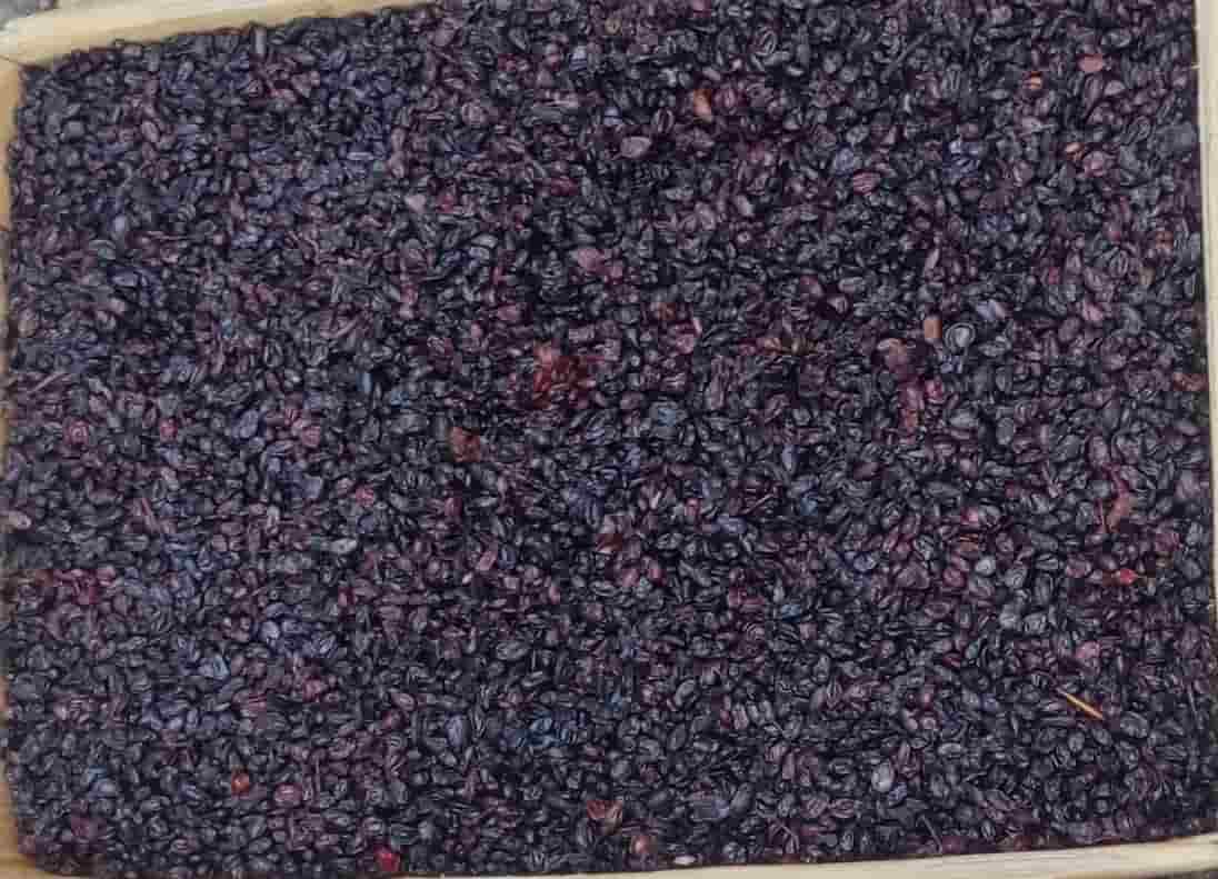 تصویر 4 از زرشک سیاه کرمانشاه با کیفیت ممتاز و طعم اصیل