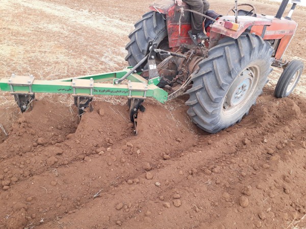 تصویر 4 از گاوآهن رابی ساختار پایدار برای ایجاد شیار های منظم در کشتزار ها