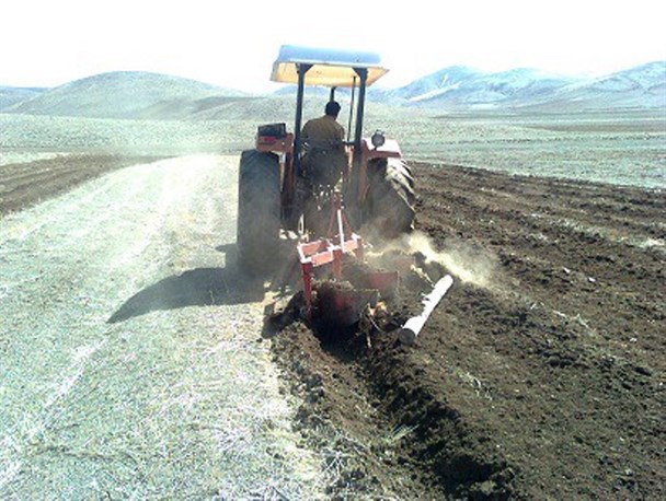 تصویر 4 از گاو آهن برای تیلر گزینه چابک جهت فرو بردن خاک سطحی