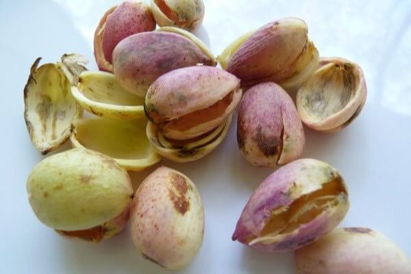 تصویر 1 از خرید پوست پسته خوراک دام باصرفه و اقتصادی