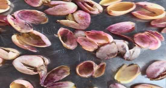 تصویر 2 از خرید پوست پسته خوراک دام باصرفه و اقتصادی