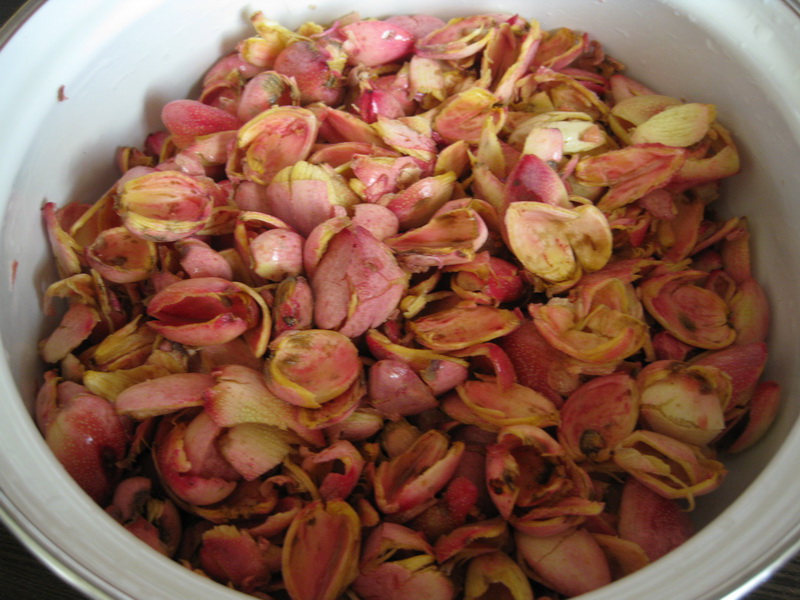 تصویر 3 از خرید پوست پسته خوراک دام باصرفه و اقتصادی